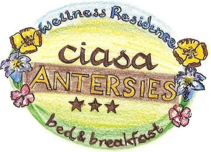 Family&Wellness Residence Ciasa Antersies San Cassiano  Exterior foto