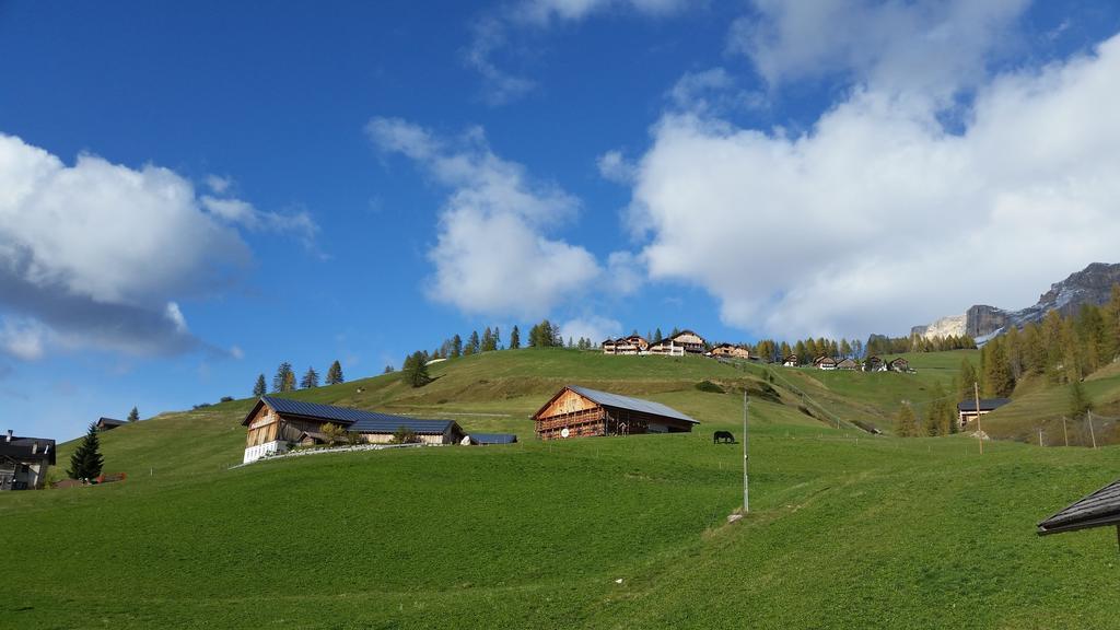 Family&Wellness Residence Ciasa Antersies San Cassiano  Exterior foto
